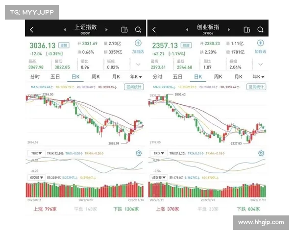 钱王点评:全面解析市场趋势与投资机会的最新动向与策略探讨 钱王点评:全面解析市场趋势与投资机会的最新动向与策略探讨