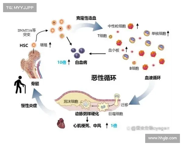 以3A开奖号为核心解析:揭示其对市场走势的影响与投资策略 以3A开奖号为核心解析:揭示其对市场走势的影响与投资策略